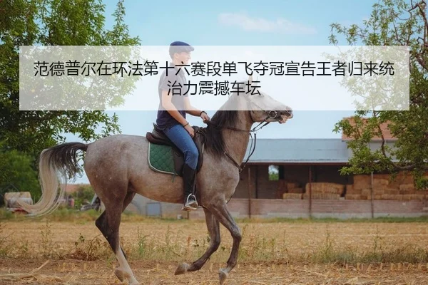 范德普尔在环法第十六赛段单飞夺冠宣告王者归来统治力震撼车坛